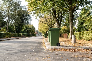 einer Reihe grüner Mülltonnen steht am Straßenrand zur Leerung bereit